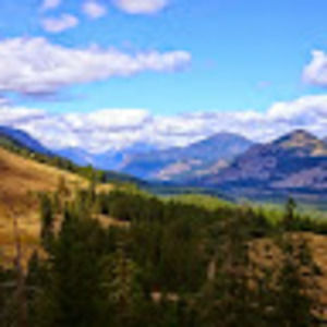 Meet your Posher, Travis